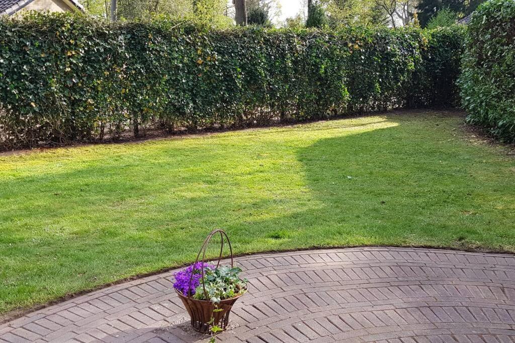 4-6 Persoons Vakantiewoning Met Eigen Tuin Villa Bakkeveen Eksteriør bilde